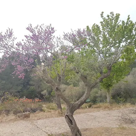 Tarragona. Arboset. Paz Entre Mar Y Montana. A Solo 15 Minutos De La Playa Casa de Férias
